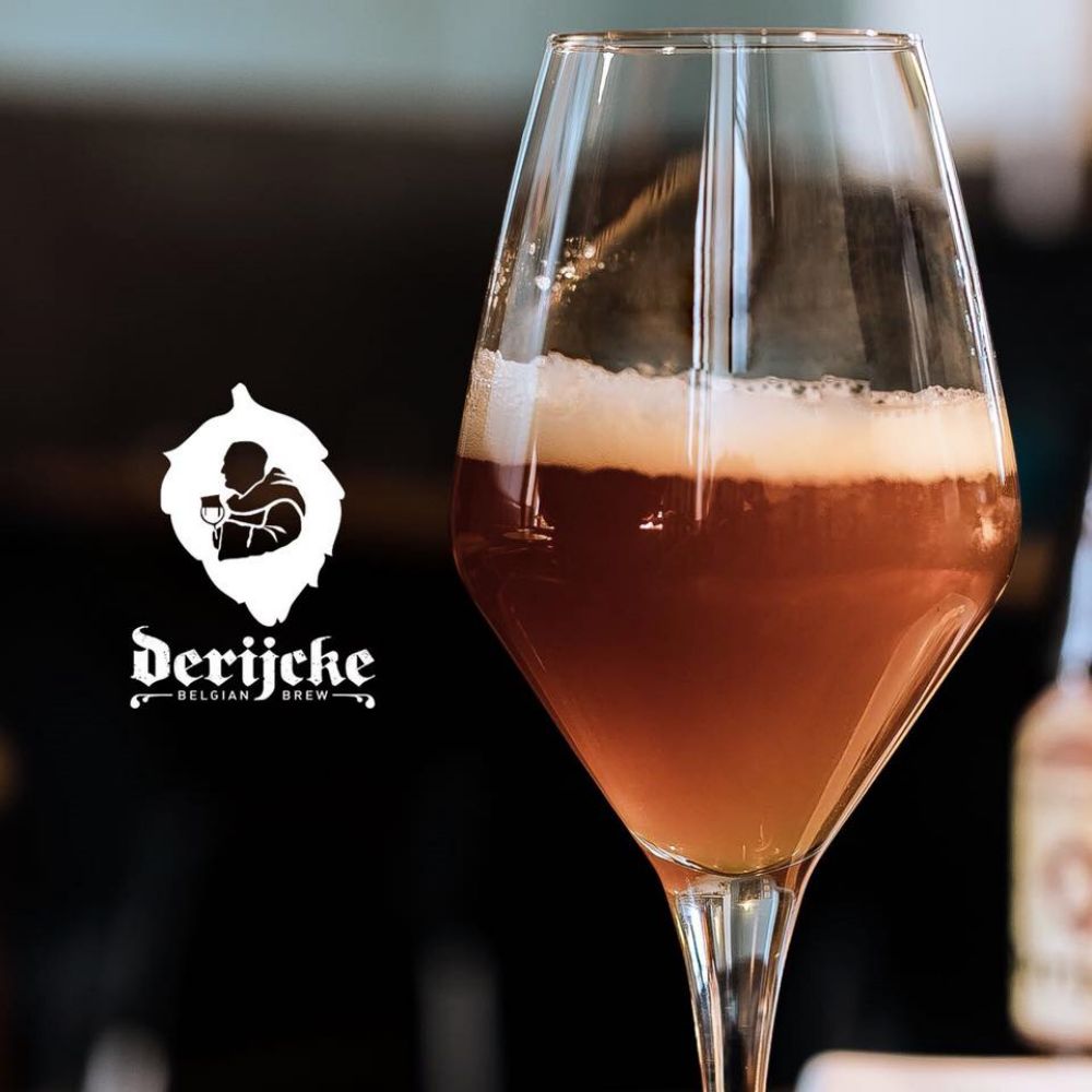 500L brewery equipment,beer brewing equipment